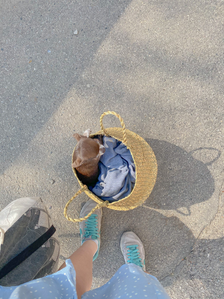 Плетеная корзина Gerda