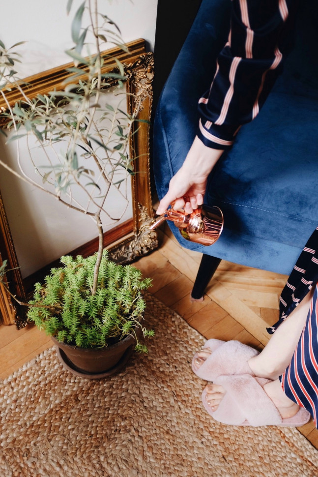 Пульверизатор для рослин Lily