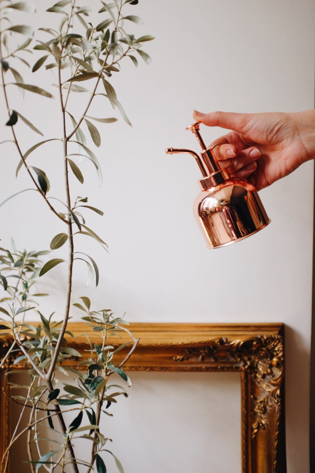 Пульверизатор для рослин Lily