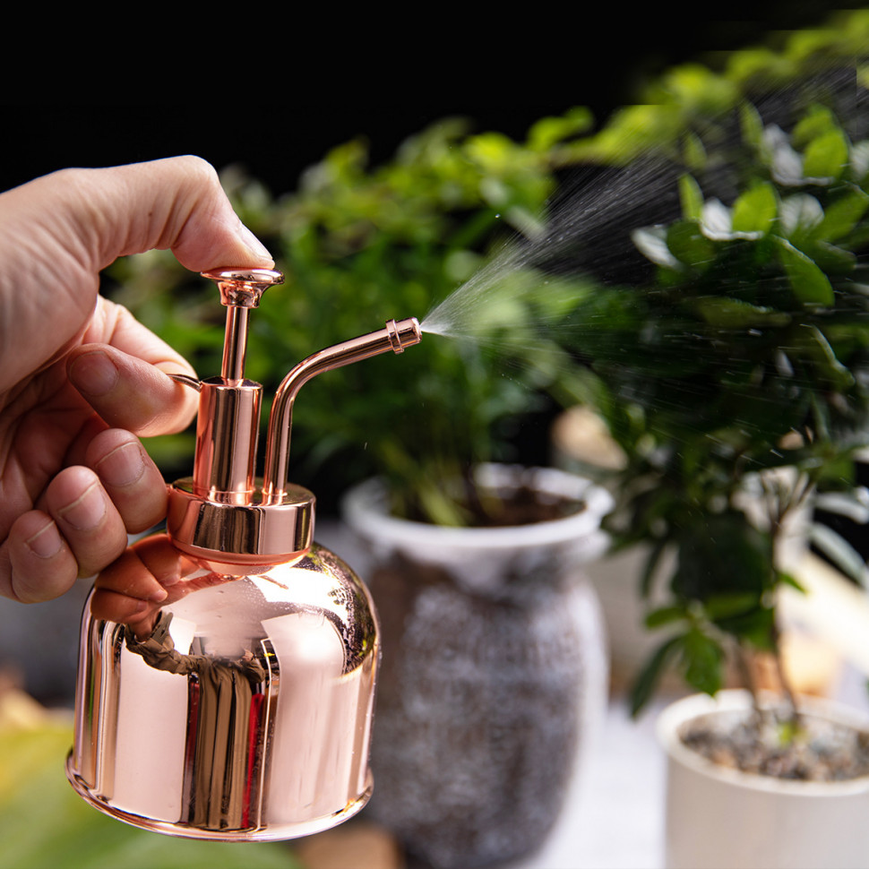 Пульверизатор для рослин Lily