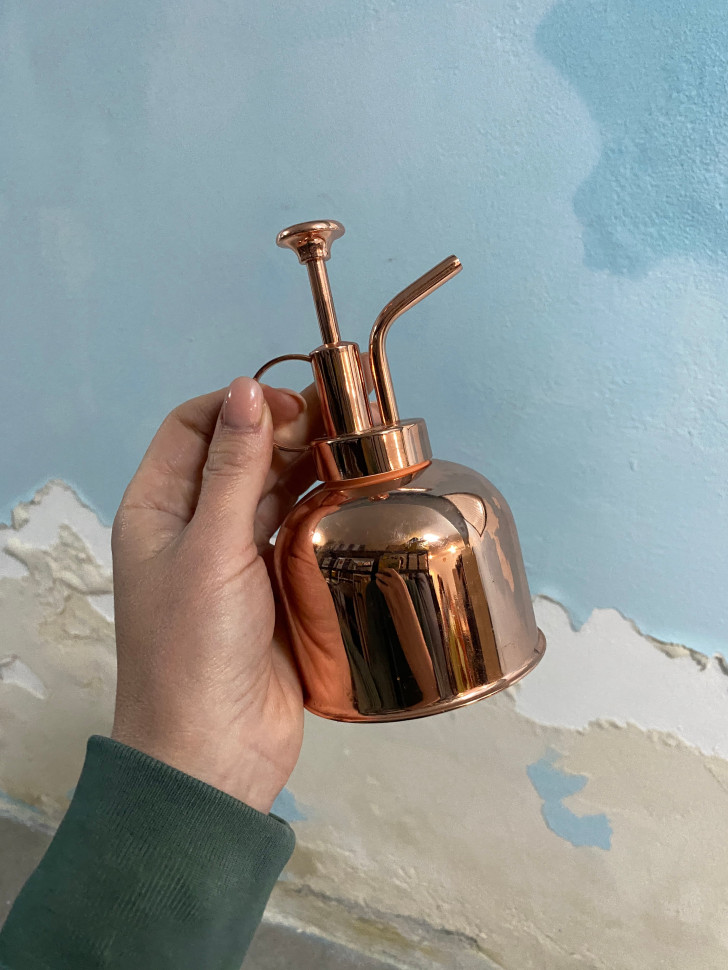 Пульверизатор для рослин Lily