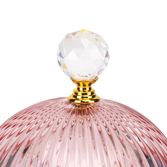 Ємність для зберігання Rapsy (в 3 кольорах )