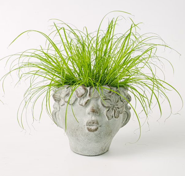 Кашпо из цемента Head