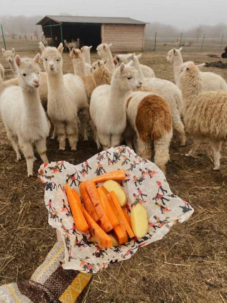 Восковые салфетки для продуктов FoodStuff (3 шт)