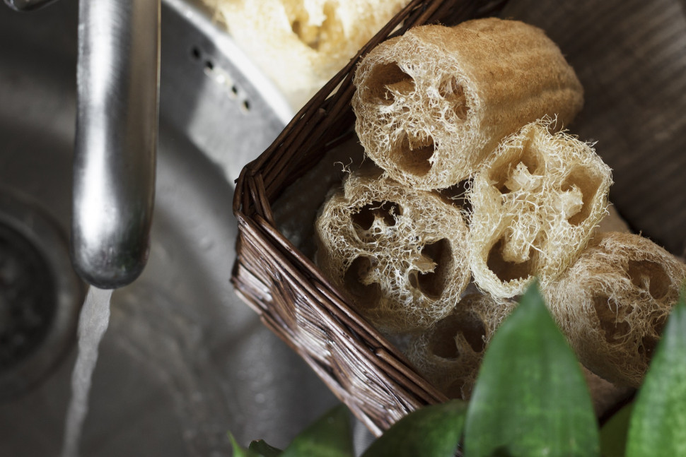 Люфа (мочалка) Sponge большая